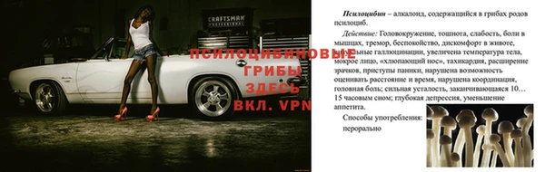 a pvp Медногорск