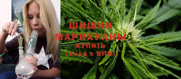 apvp Ступино