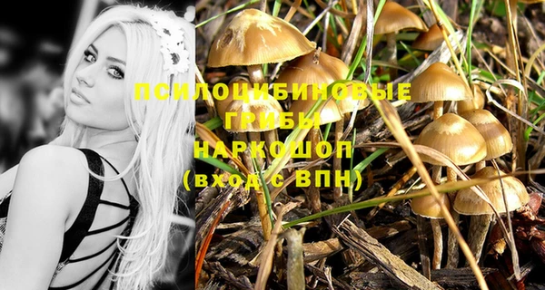 марки nbome Ладушкин