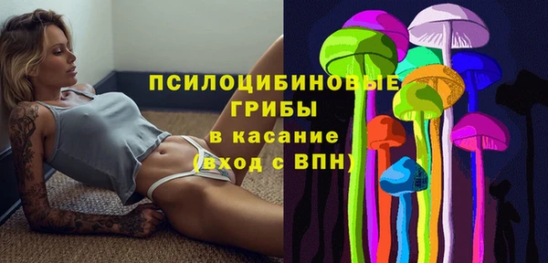 a pvp Медногорск