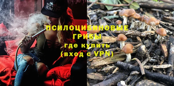 прущие грибы Балашиха