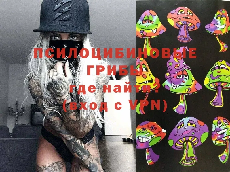 сколько стоит  OMG зеркало  Галлюциногенные грибы Magic Shrooms  Кизел 